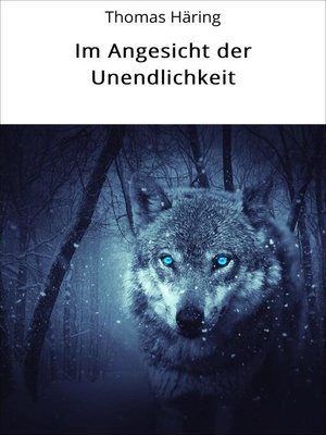 cover image of Im Angesicht der Unendlichkeit